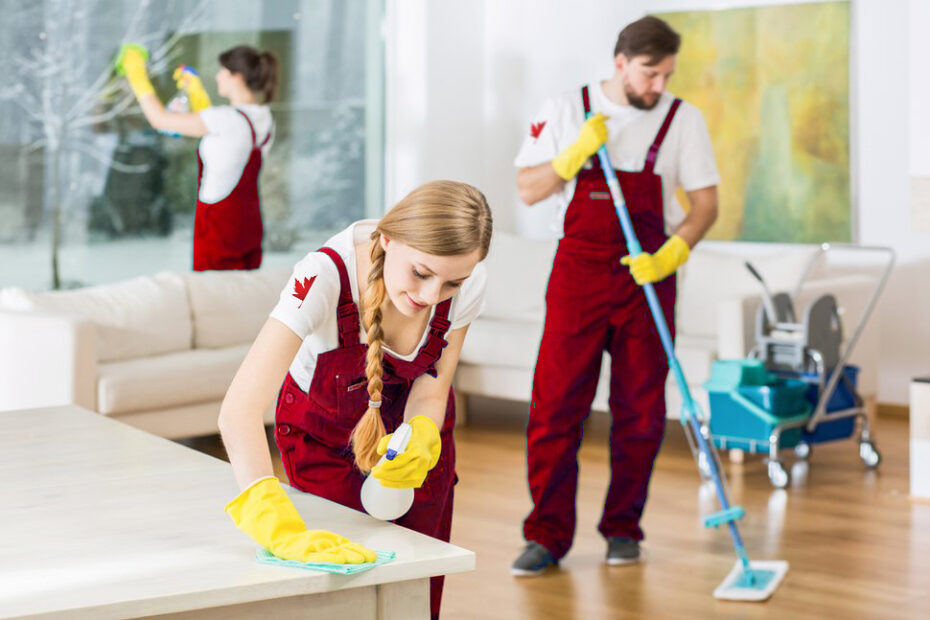 Carpet Cleaning Services